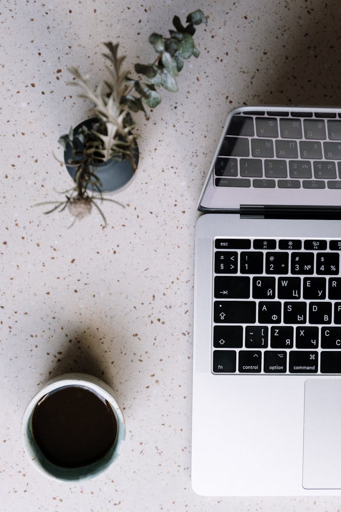Overhead view of a laptop, coffee, and plant on a speckled surface, ideal for modern workspace themes.